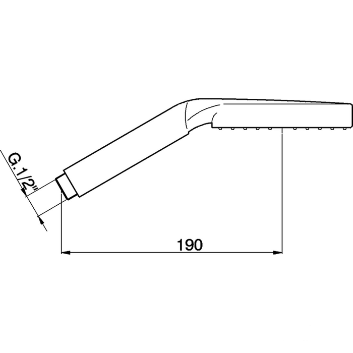 Душевая лейка Cisal Shower DS01422021
