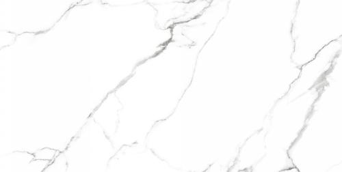 Керамогранит Neodom Белый мрамор (Classic Marble) Маккинли Полированный CV20222 60x120