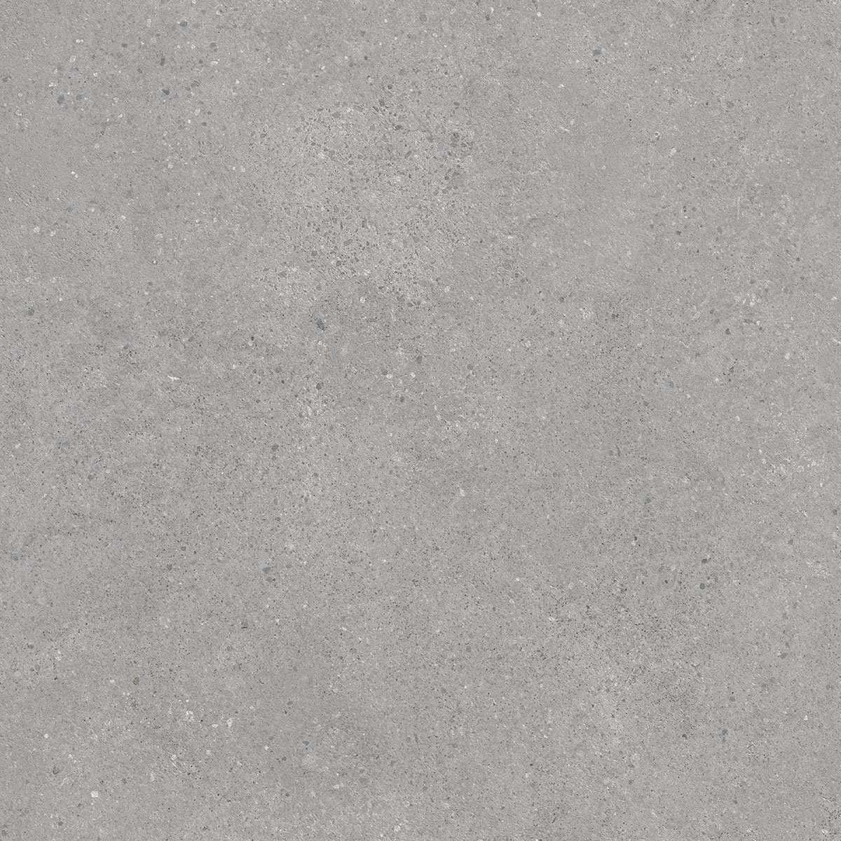 Керамогранит Kerama Marazzi Фондамента Серый Свет. Обр. DL600900R 60х60