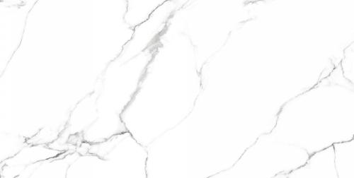 Керамогранит Neodom Белый мрамор (Classic Marble) Маккинли Полированный CV20222 60x120