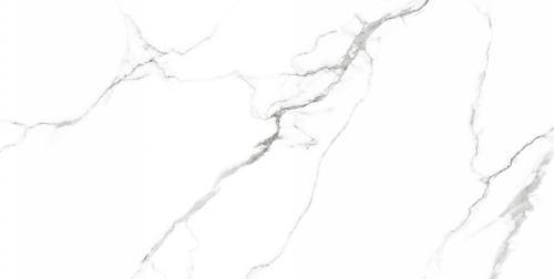 Керамогранит Neodom Белый мрамор (Classic Marble) Маккинли Полированный CV20222 60x120