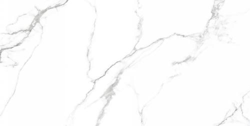 Керамогранит Neodom Белый мрамор (Classic Marble) Маккинли Полированный CV20222 60x120
