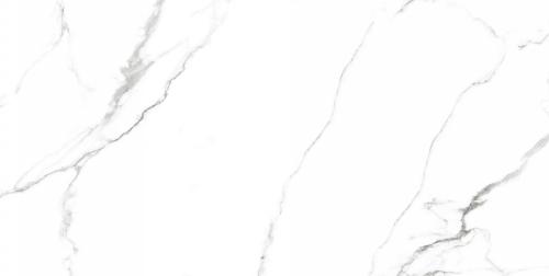 Керамогранит Neodom Белый мрамор (Classic Marble) Маккинли Полированный CV20222 60x120