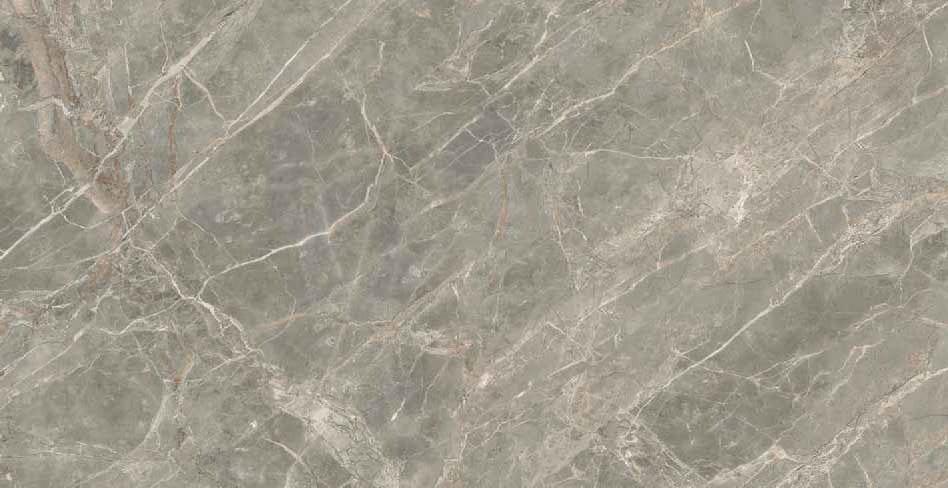 Керамогранит Rex Ceramiche Etoile Gris Glossy 761738 120x240