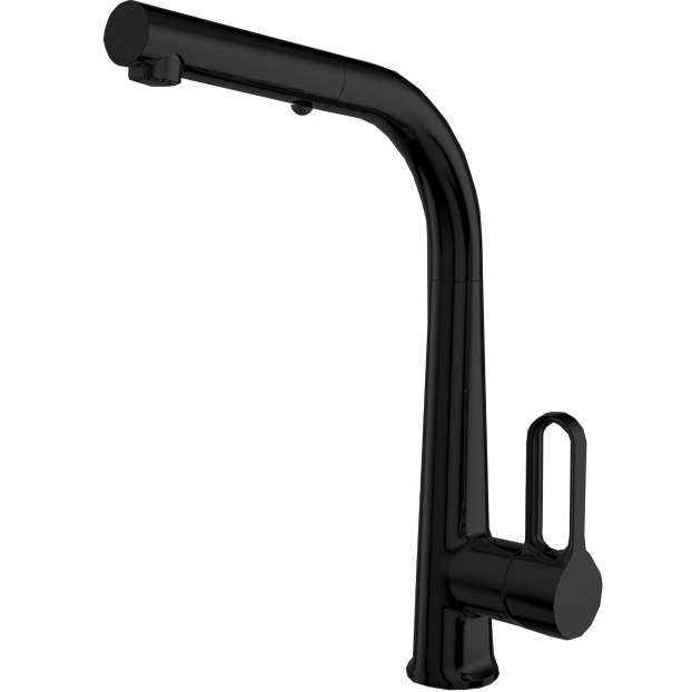 Смеситель для кухни Fima Carlo Frattini Kitchen F7026NS (черный матовый), с выдвижной лейкой