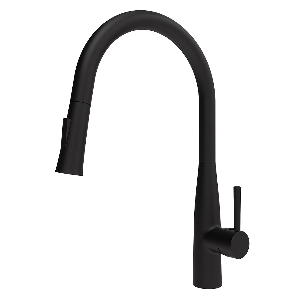 Смеситель для кухни Raiber Graceful RPB-011 (черный матовый)