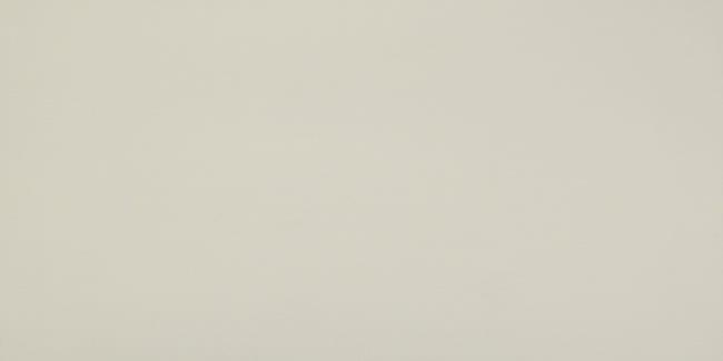 Настенная плитка Atlas Concorde 3D Wall Solid Sand Matt New 8DSA 40x80