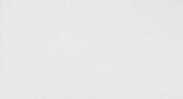 Настенная плитка Atlas Concorde 3D Wall Solid White Matt New 8DSO 40x80