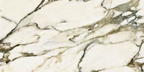Керамогранит Neodom Ambassador Calacatta Venato CV20218 60x120