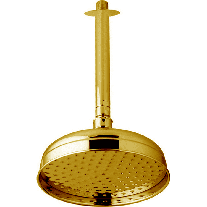 Верхний душ Cisal Shower DS01341024