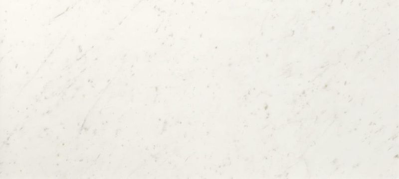 Настенная плитка FAP Ceramice Roma Diamond Carrara Brillante fNHF 50x110