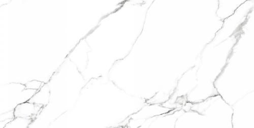 Керамогранит Neodom Белый мрамор (Classic Marble) Маккинли Полированный CV20222 60x120