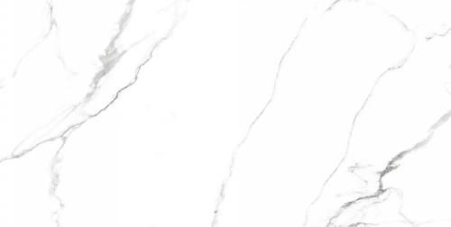 Керамогранит Neodom Белый мрамор (Classic Marble) Маккинли Полированный CV20222 60x120