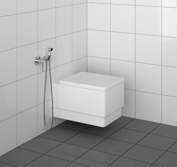Гигиенический комплект Kludi Bozz - 389990576