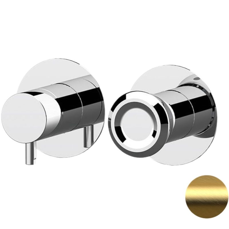 Смеситель для душа скрытого монтажа Remer Element ET92ZPBG (золото брашированное)