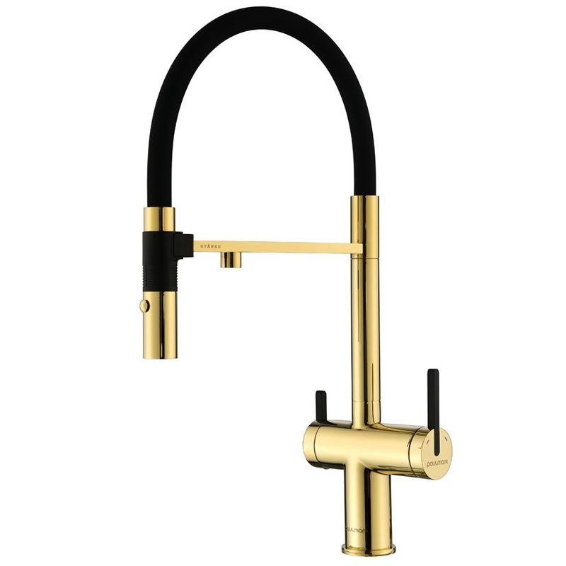Смеситель для кухни Paulmark Gravity Gr213188-G (золото), с краном для питьевой воды