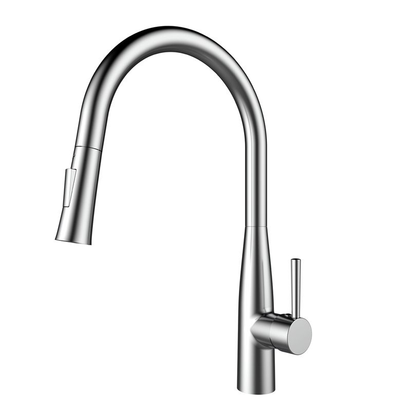 Смеситель для кухни Raiber Graceful RP-011 (хром)