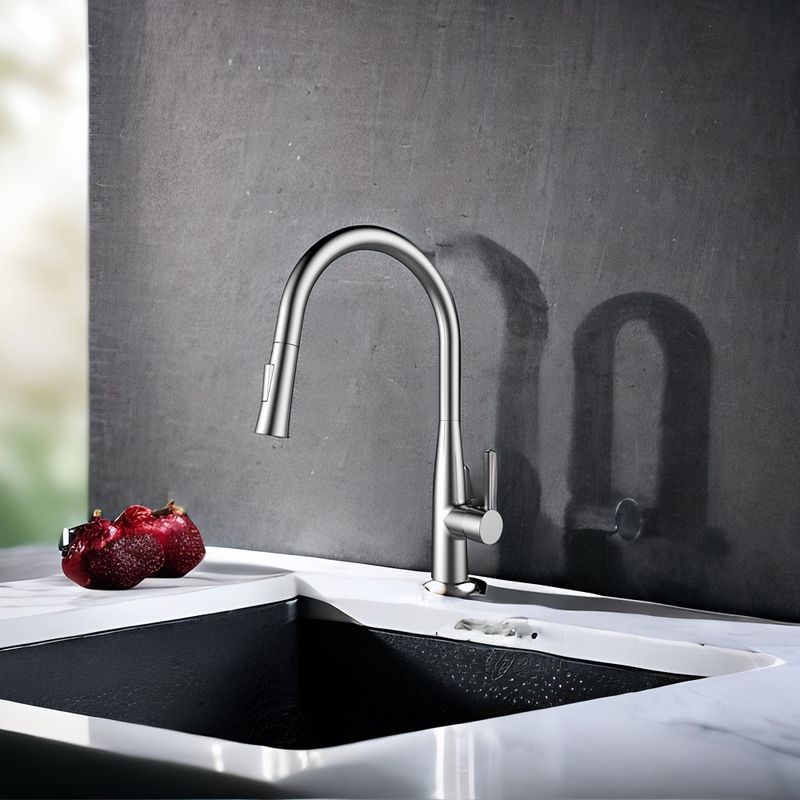 Смеситель для кухни Raiber Graceful RP-011 (хром)