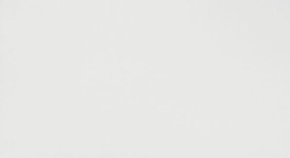 Настенная плитка Atlas Concorde 3D Wall Solid White Matt New 8DSO 40x80