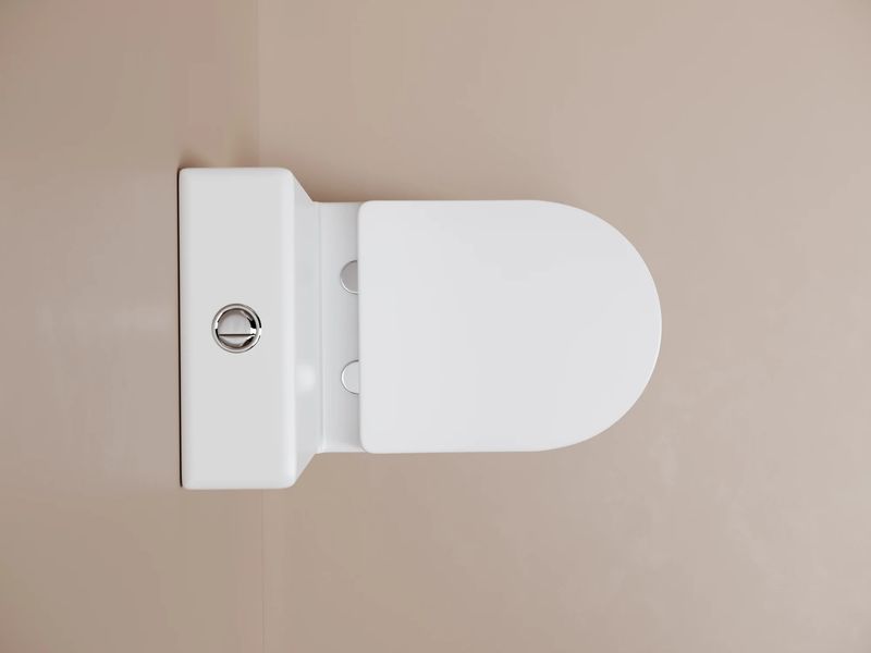 Унитаз напольный пристенный Ceramicanova Метропол (Metropol) CN4001TMW 62.5х38.5х83.5 (белый матовый), смыв торнадо
