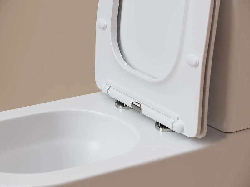 Унитаз напольный пристенный Ceramicanova Метропол (Metropol) CN4001TMW 62.5х38.5х83.5 (белый матовый), смыв торнадо