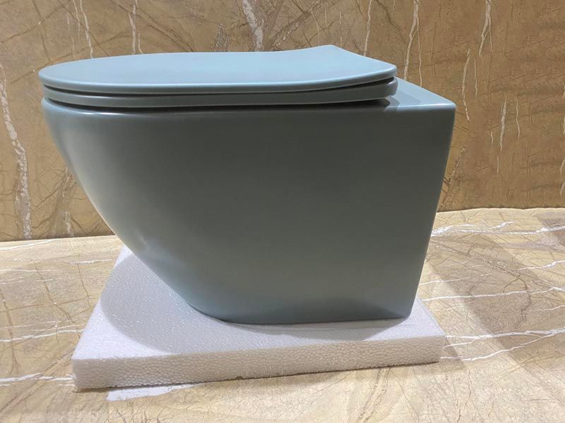 Унитаз подвесной безободковый CeramaLux N 2197MLG 49x37 (зеленый) с микролифтом