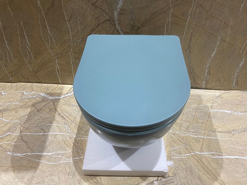 Унитаз подвесной безободковый CeramaLux N 2197MLG 49x37 (зеленый) с микролифтом