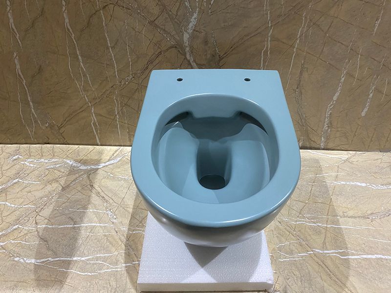 Унитаз подвесной безободковый CeramaLux N 2197MLG 49x37 (зеленый) с микролифтом