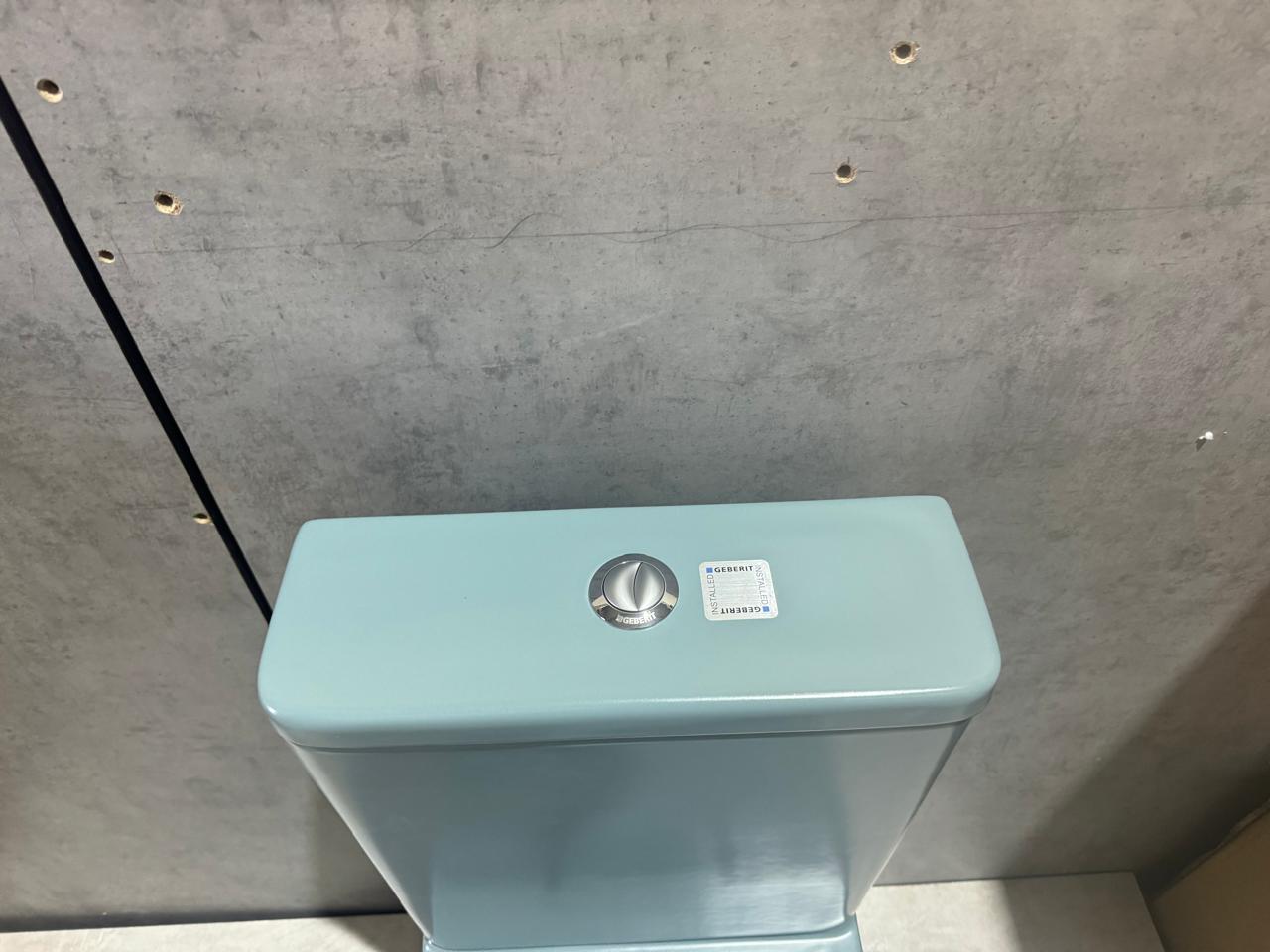 Унитаз напольный безободковый CeramaLux N 2166XMLG 61.8x38 (зеленый матовый) с микролифтом