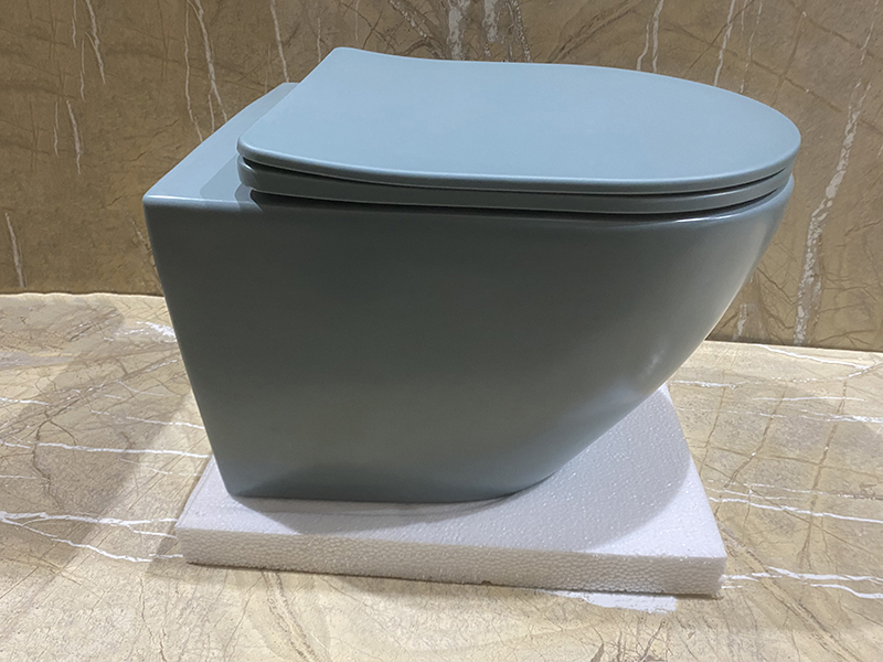 Унитаз подвесной безободковый CeramaLux N 2197MLG 49x37 (зеленый) с микролифтом