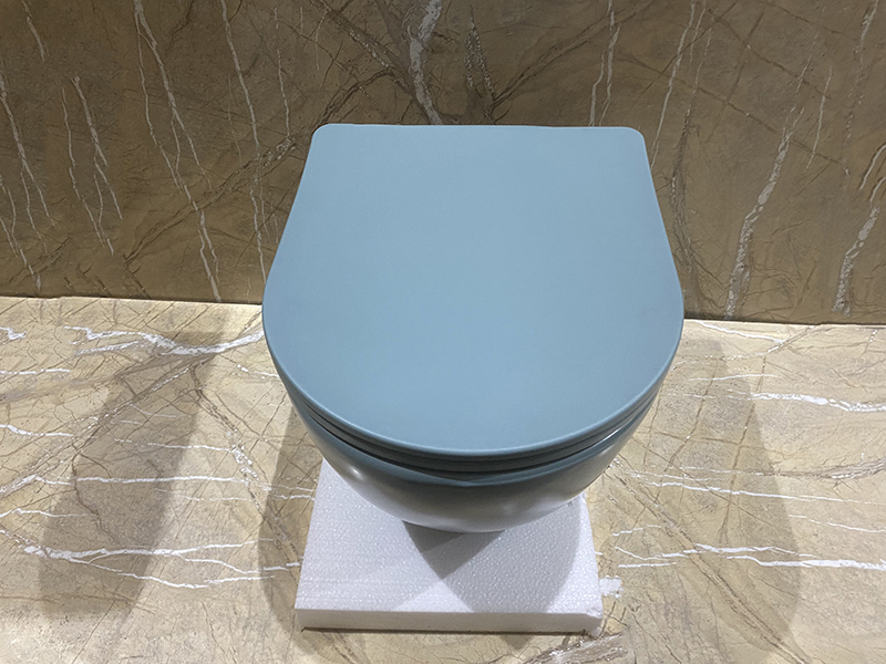 Унитаз подвесной безободковый CeramaLux N 2197MLG 49x37 (зеленый) с микролифтом
